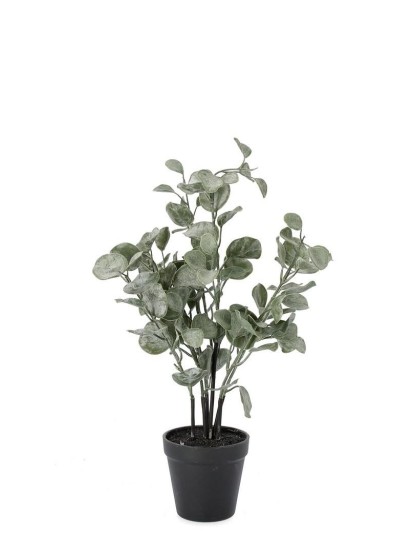 Τεχνητό φυτό ευκάλυπτος 40cm