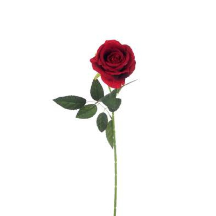 Τριαντάφυλλο βελούδινο 51cm