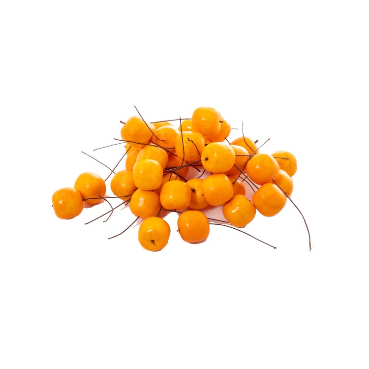 Φρουτάκι πορτοκαλί με σύρμα