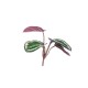 Διακοσμητικά φύλλα πράσινο-εκρού-μπορντό 20,5cm