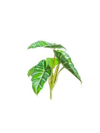 Διακοσμητικά φύλλα στενόμακρα πράσινο-εκρού 21cm
