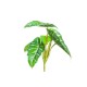 Διακοσμητικά φύλλα στενόμακρα πράσινο-εκρού 21cm