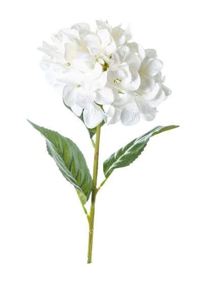 Ορτανσία υφασμάτινη λευκή 85cm