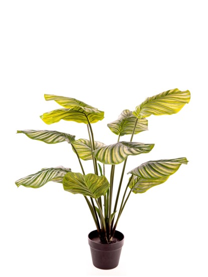 Τεχνητό φυτό Καλαθέα 100cm