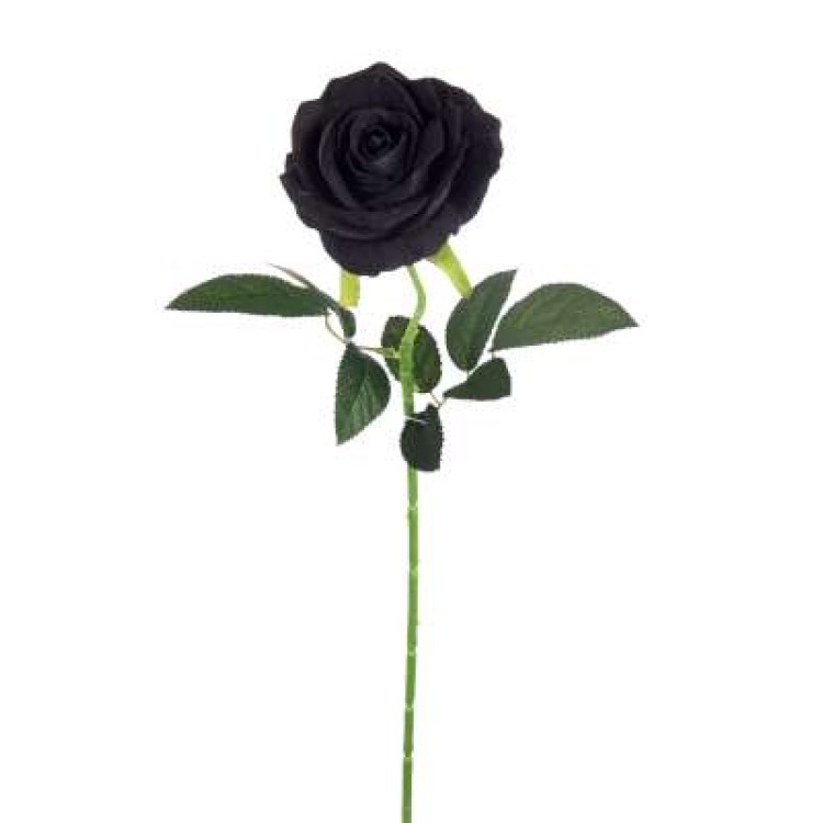 Τριαντάφυλλο βελούδινο 51cm