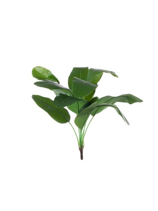Κλαδί πρασινάδα Στρελίτζια συνθετική 50cm