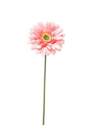 Ζέρμπερα υφασμάτινη ροζ 49cm