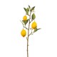 Τεχνητό φυτό Κλαδί λεμονιάς 65cm