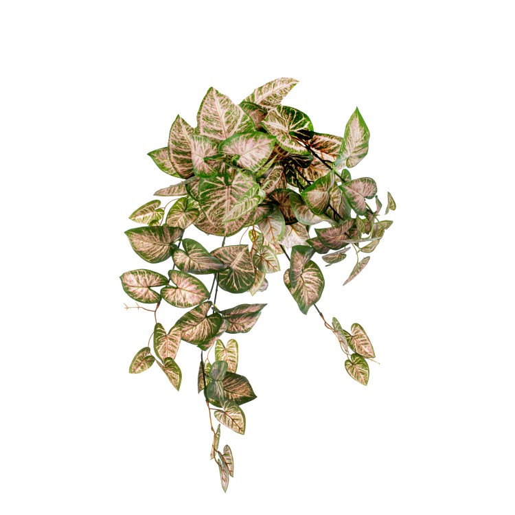 Κλαδί πρασινάδα φύλλα καλάδιου 60cm