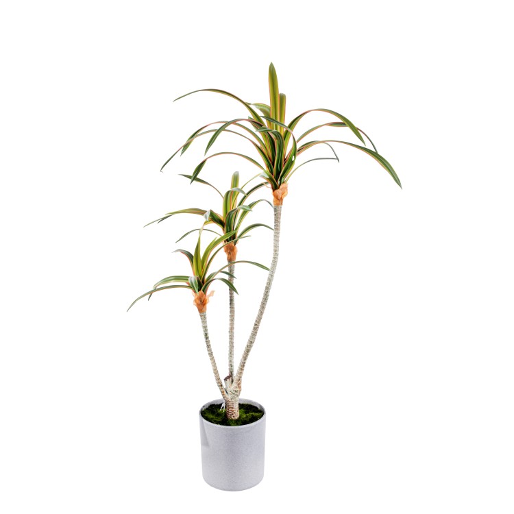 Τεχνητό φυτό Δράκαινα-φοίνικας σε κασπώ 68cm