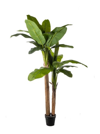 Τεχνητό φυτό σε γλάστρα Μπανανιά 200cm