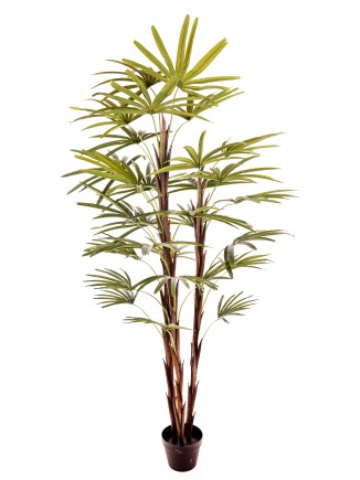 Τεχνητό φυτό σε γλάστρα Ράφις(Κινέζικος Φοίνικας) 180cm