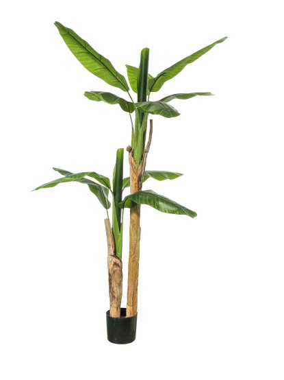 Τεχνητό φυτό σε γλάστρα Μπανανιά 180cm