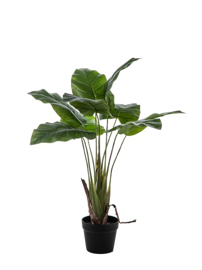 Τεχνητό φυτό Calla Lilly 80cm