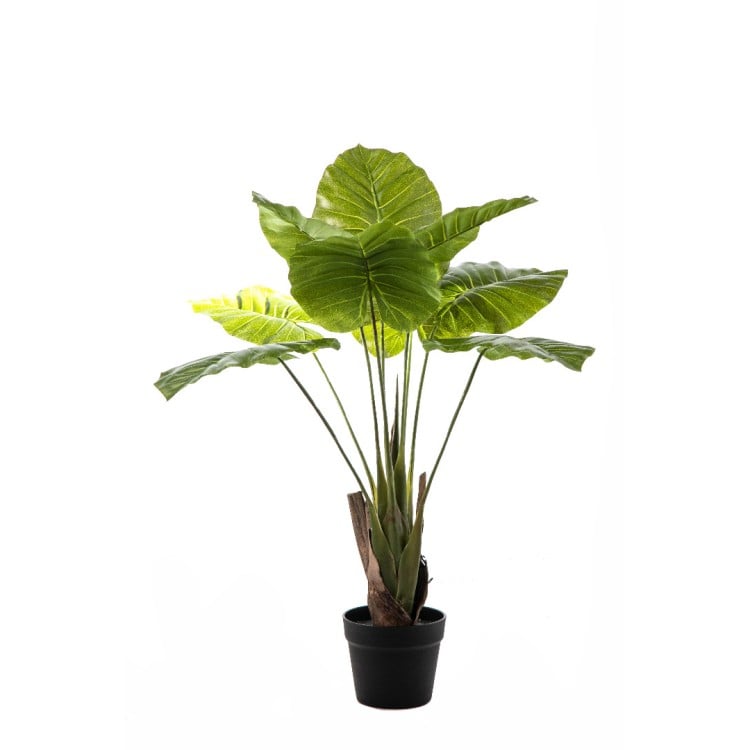 Τεχνητό φυτό Συνγκόνιο 80cm