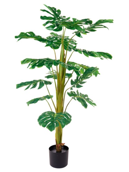 Τεχνητό φυτό Φυλλόδεντρο 125cm