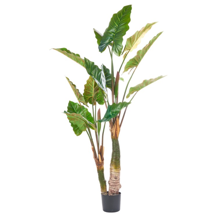 Τεχνητό φυτό Αλοκάσια 180cm
